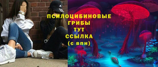 гидра Алзамай