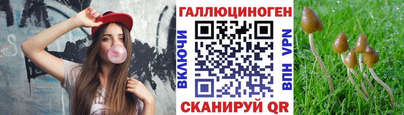 что такое наркотик  Углич  Псилоцибиновые грибы ЛСД 